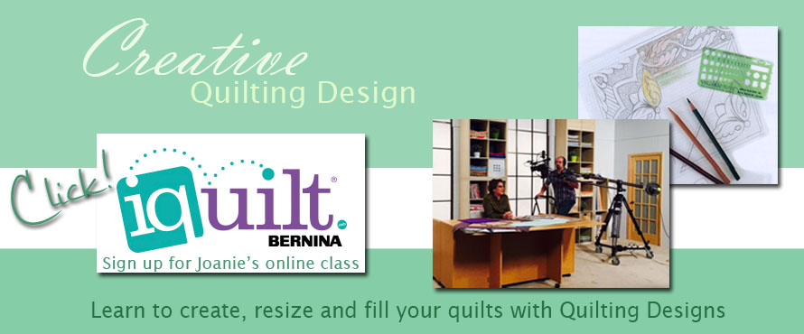 Take a machine quilting class at iQuilt
